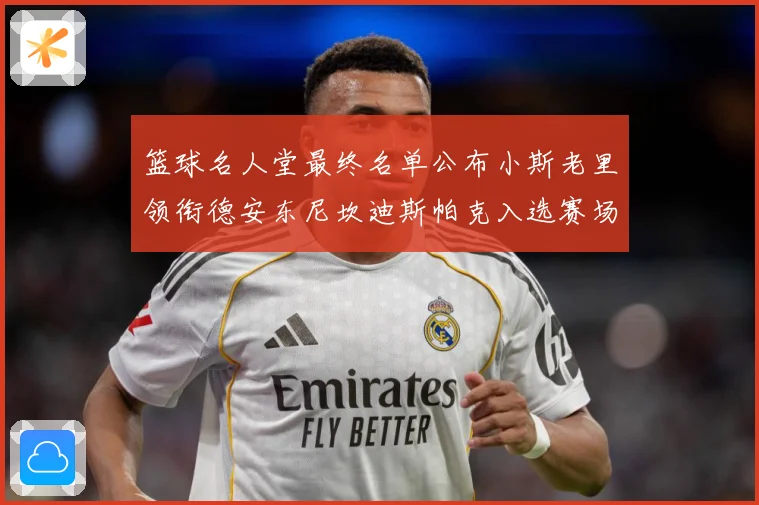 篮球名人堂最终名单公布小斯老里领衔德安东尼坎迪斯帕克入选赛场复盘-深度解析
