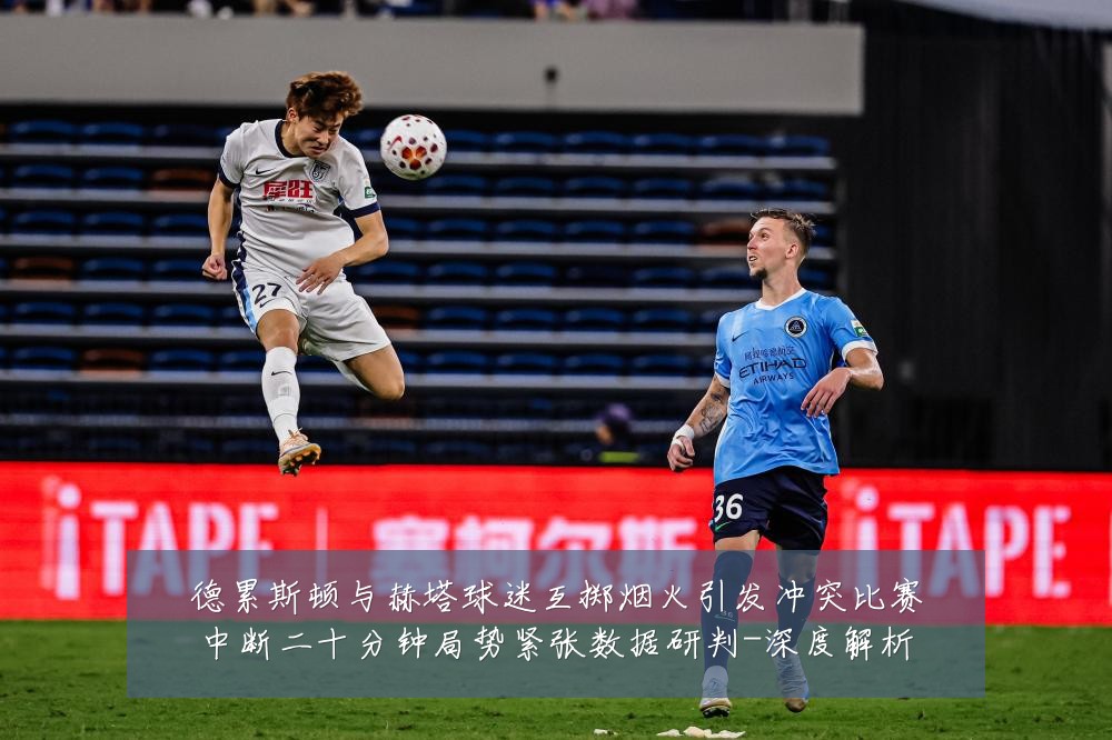 德累斯顿与赫塔球迷互掷烟火引发冲突比赛中断二十分钟局势紧张数据研判-深度解析