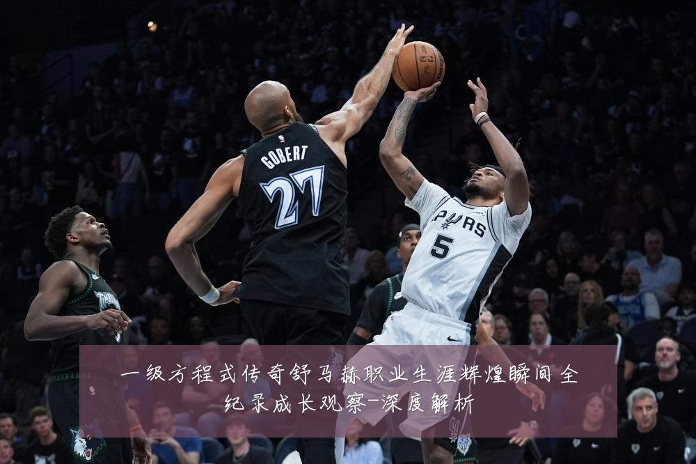 一级方程式传奇舒马赫职业生涯辉煌瞬间全纪录成长观察-深度解析